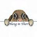 Hangin Bunny.jpg