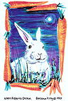 Rabbit Dream.jpg