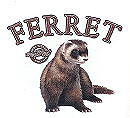 Ferret