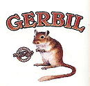 Gerbil.jpg