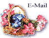 E-mail Contact Button